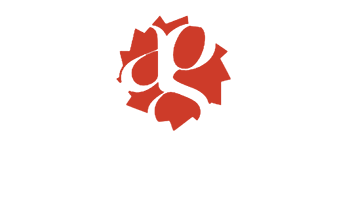 logo maxfer